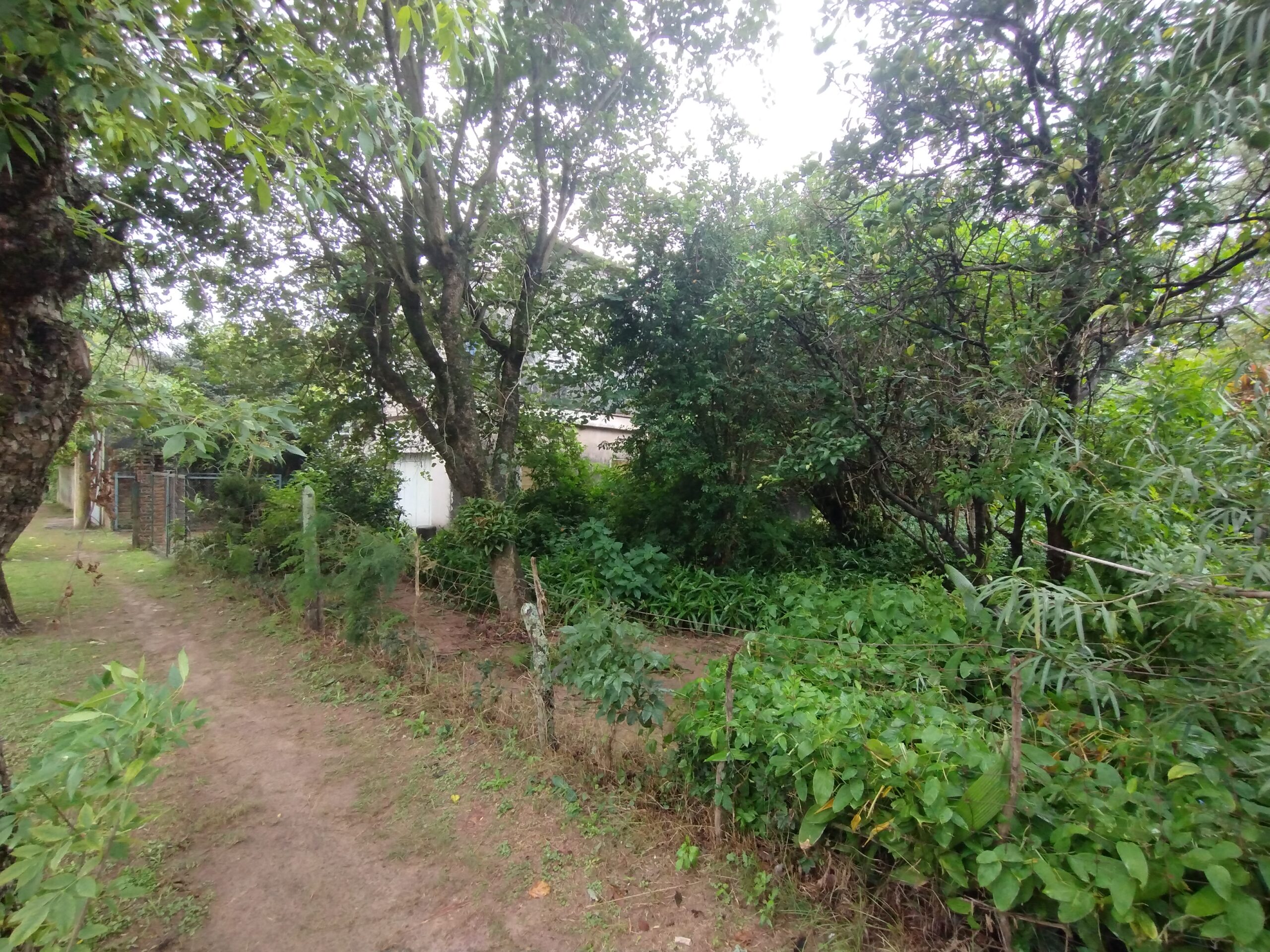 IMG_20240413_115233979